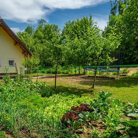 Chaletu Kokot Ravna Gora
